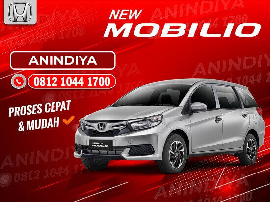 NEW MOBILIO