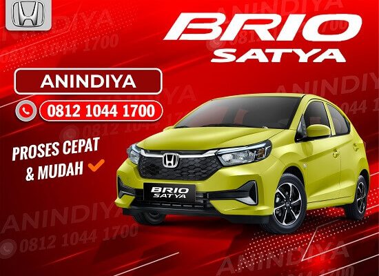 NEW BRIO